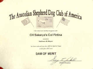 Dam of Merit-Dess.jpg (1135012 bytes)