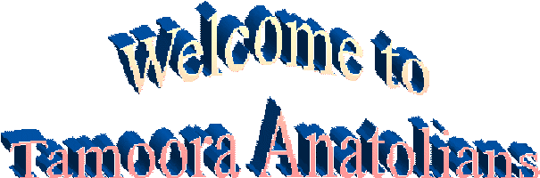 image001.gif (10529 bytes)